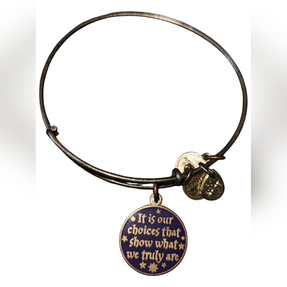 Alex & Ani Harry Potter "It's Our Choices" Charm Bangle Bracelet - Picture 1 of 2
